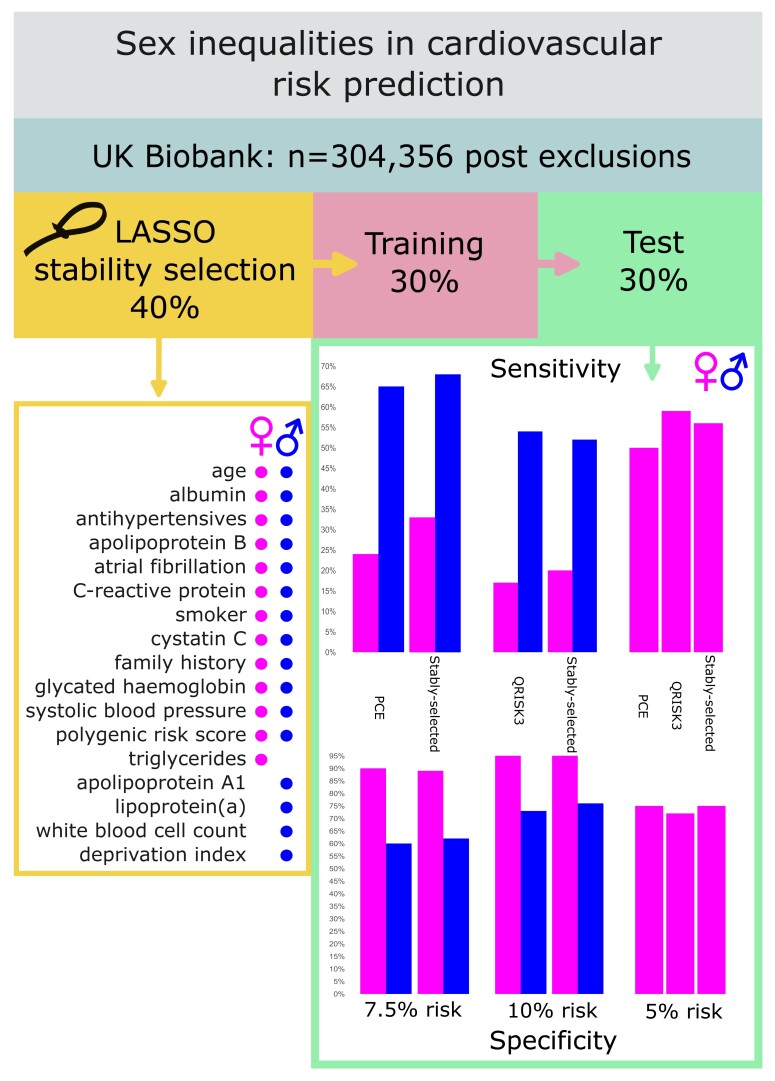 Graphical Abstract