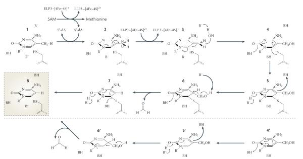 Figure 6