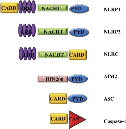 Fig. 3.