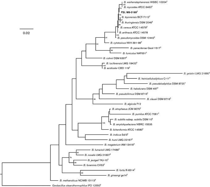 Bacillus wiedmannii sp. nov., a psychrotolerant and cytotoxic Bacillus ...