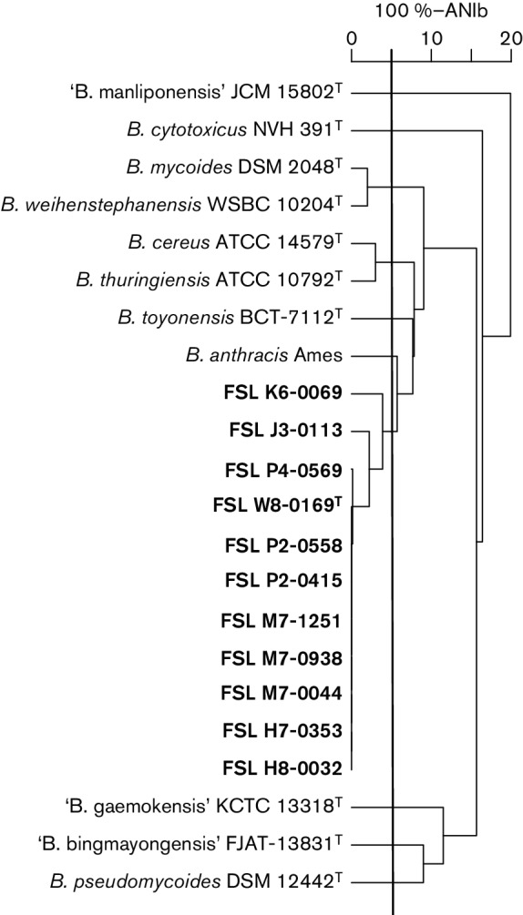 Bacillus wiedmannii sp. nov., a psychrotolerant and cytotoxic Bacillus ...