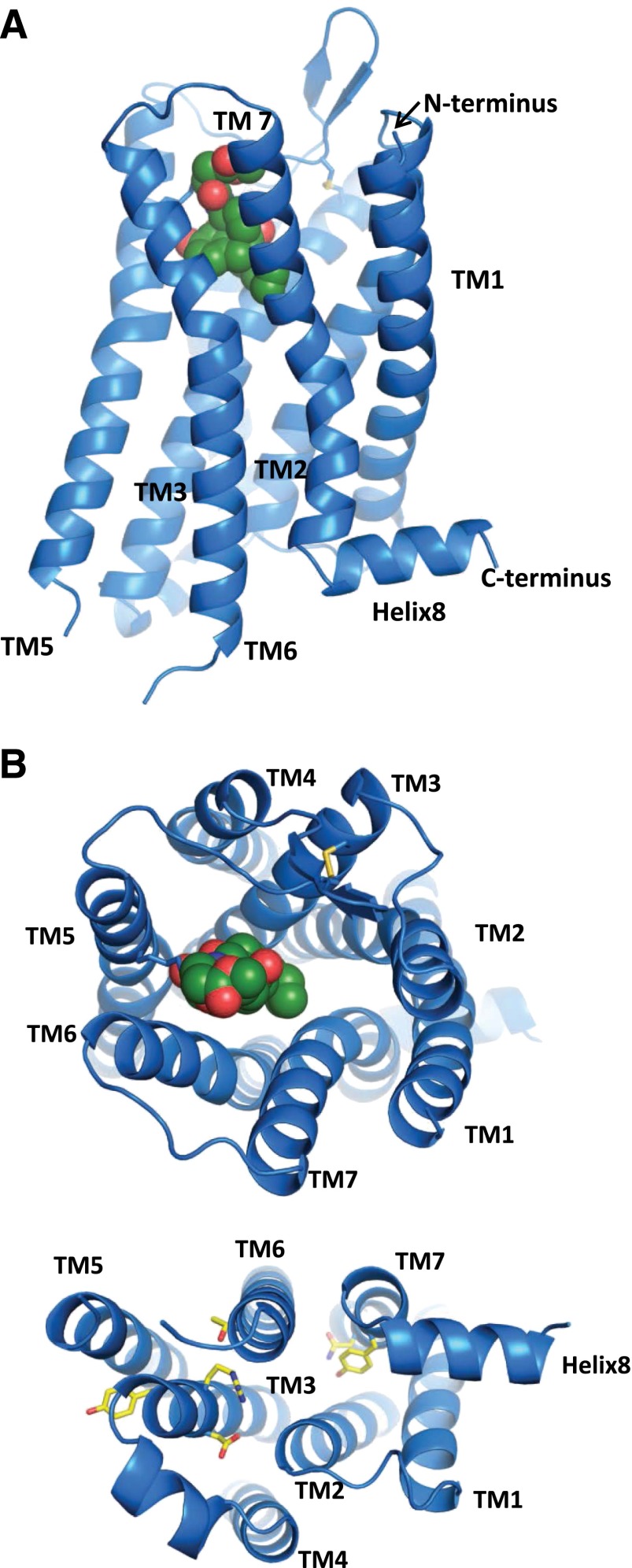 Fig. 11.