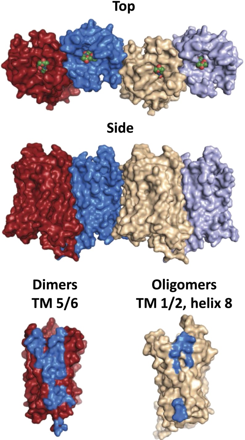 Fig. 13.