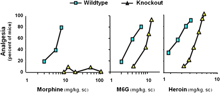 Fig. 21.