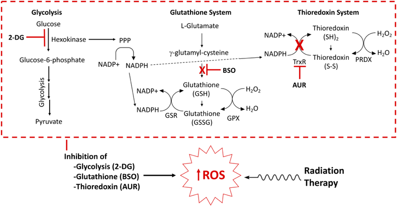 Figure 3: