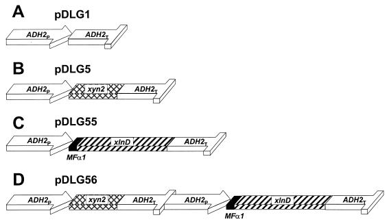 FIG. 1