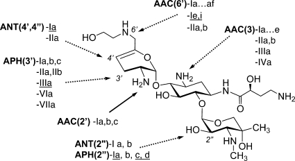 FIG. 1.