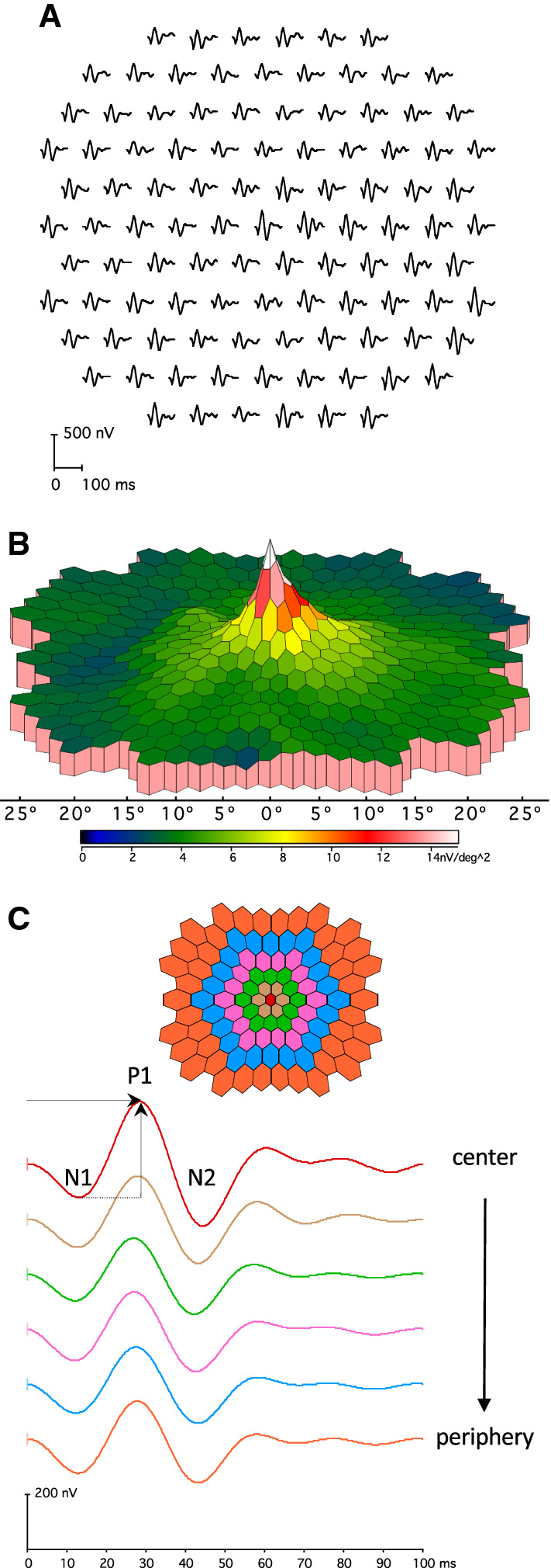 Fig. 2