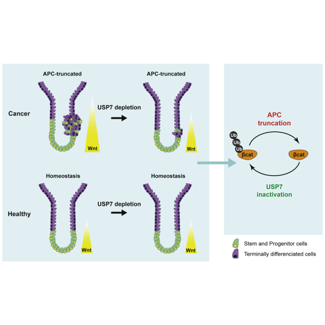 graphic file with name fx1.jpg