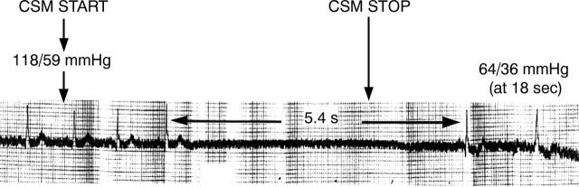 Figure 3  