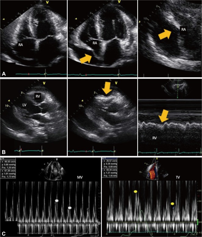 Fig. 6