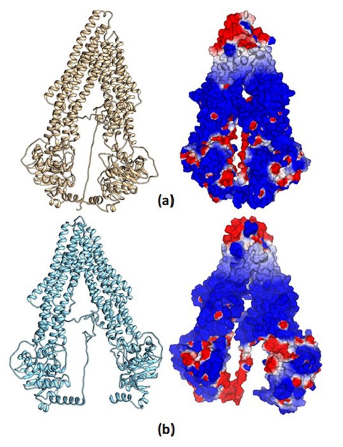 Figure 12