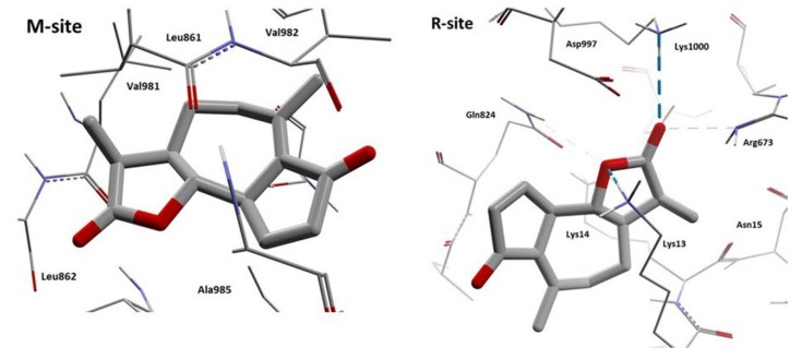 Figure 16