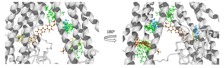 Figure 13