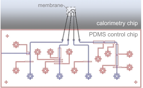 Fig. 2.