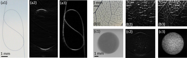 Fig. 7