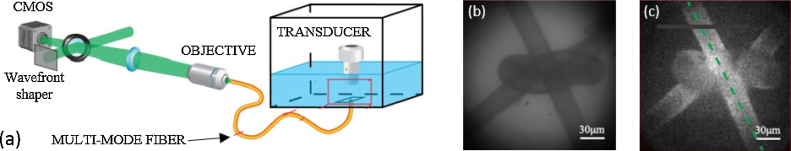 Fig. 10