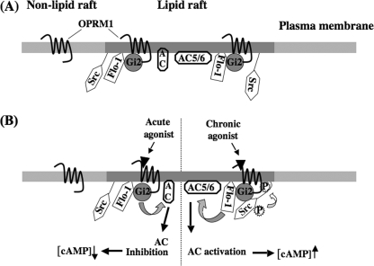 FIGURE 9.