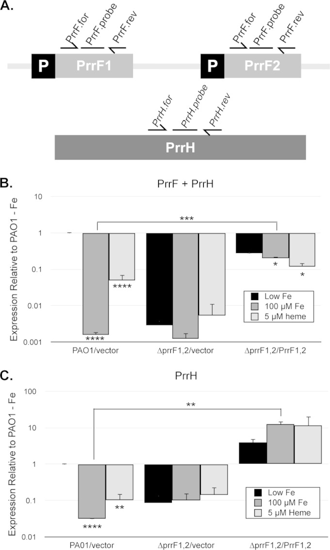 FIG 2