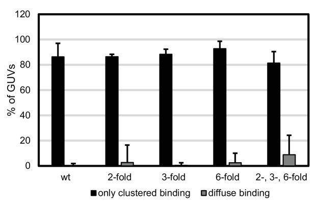 Figure 4—figure supplement 1.