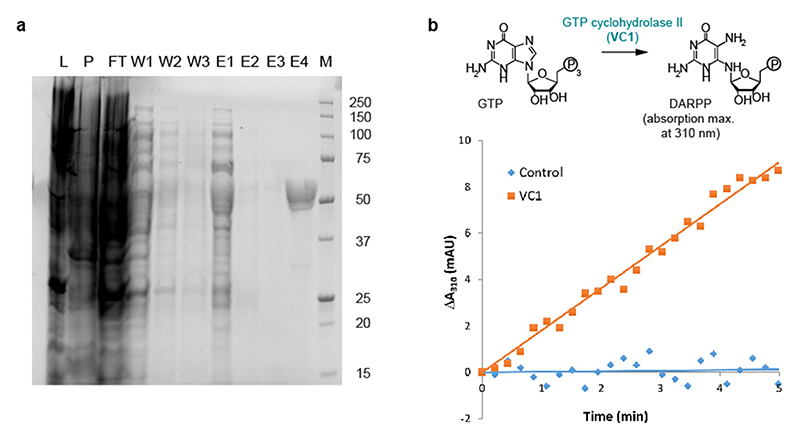 Extended Data Fig. 6