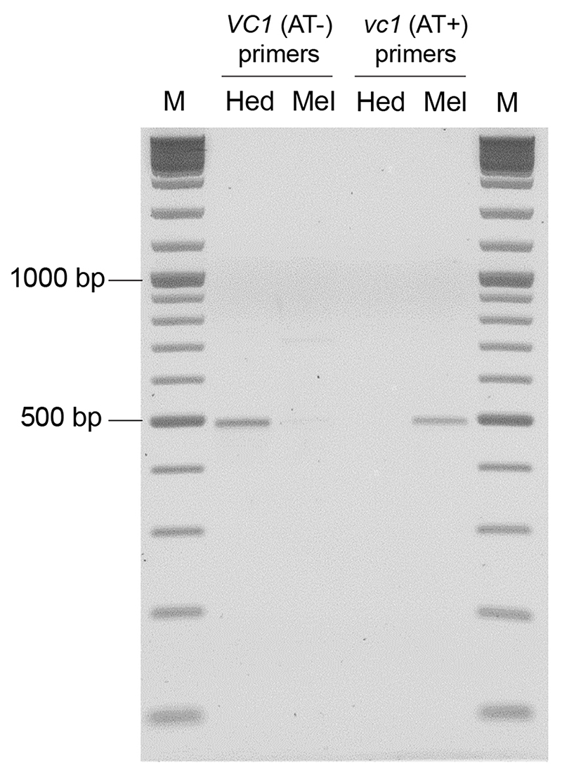 Extended Data Fig. 4