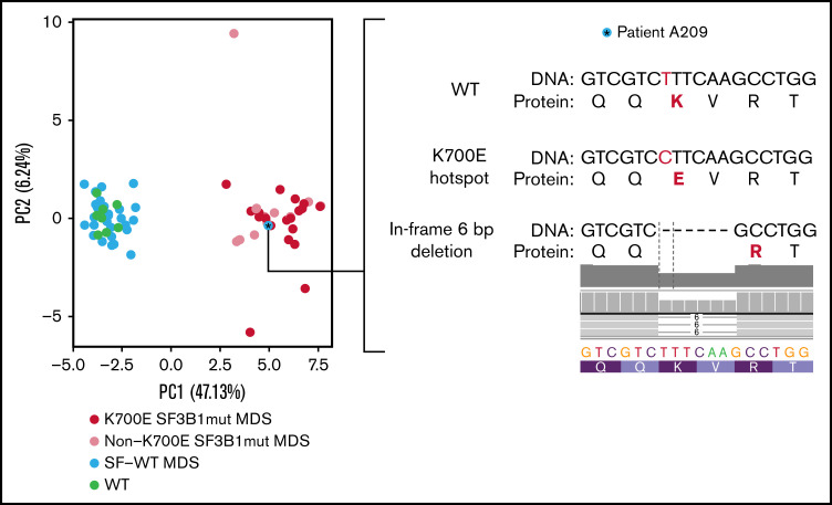 Figure 4.