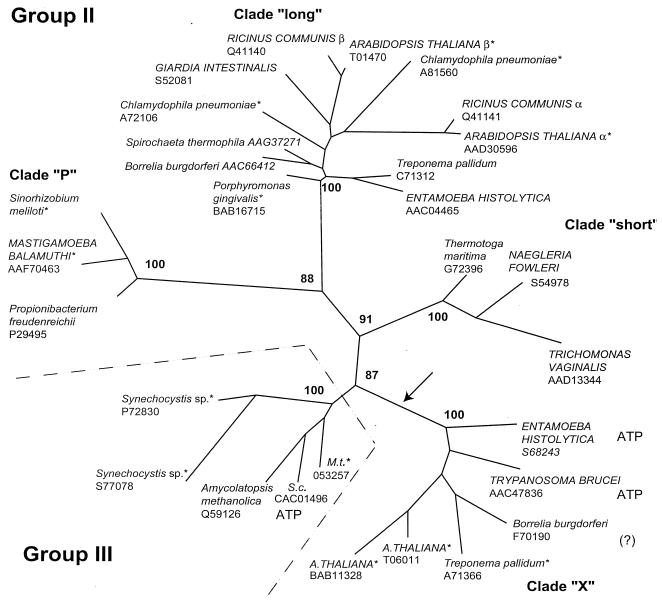 FIG. 1