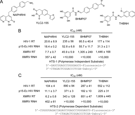 Fig 3