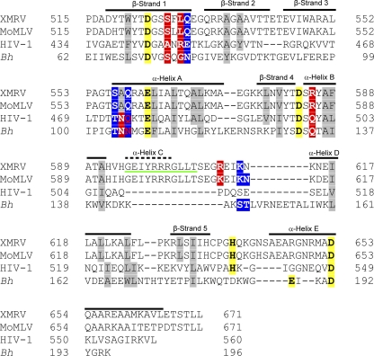 Fig 6