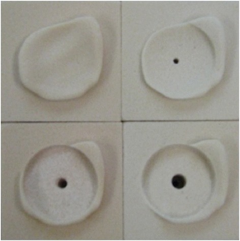 Fig. 3