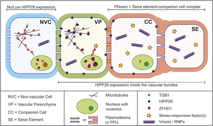 Figure 10.