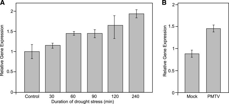 Figure 7.