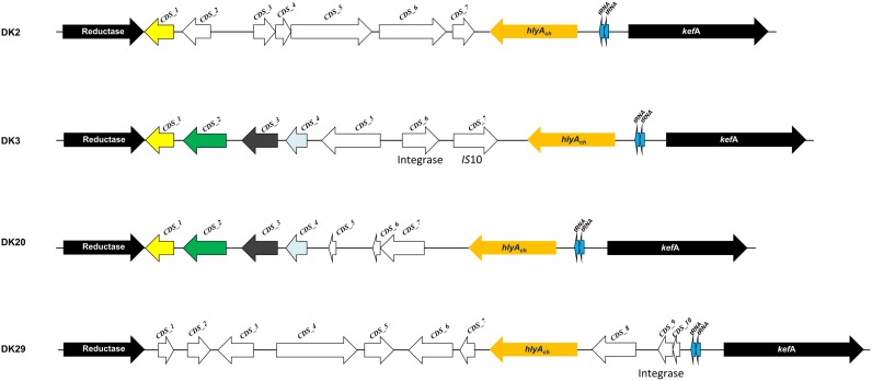 FIGURE 7