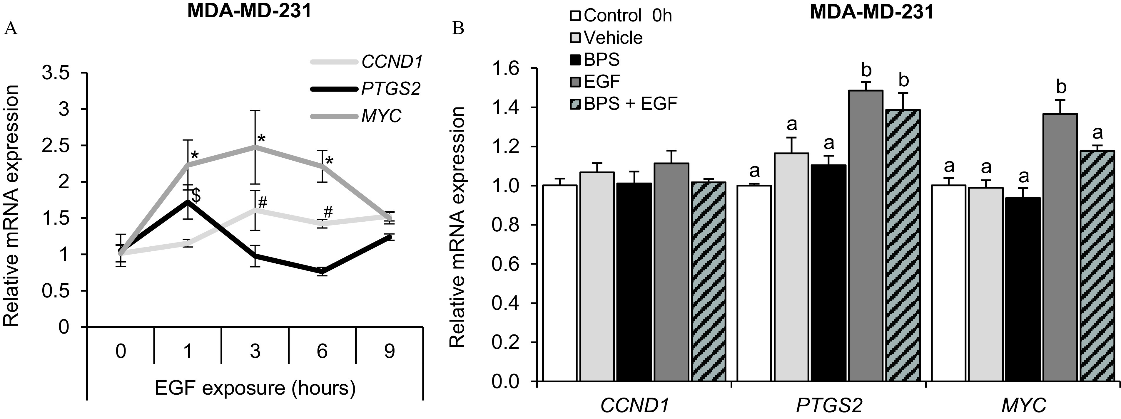 Figure 7A is a line graph titled M D A-M D-231 plotting relative messenger ribonucleic acid expression, ranging from 0 to 3.5 in increments of 0.5 (y-axis) across epidermal growth factor (hours), ranging from 0 to 1 in unit increments and 1 to 9 in increments of 3 (x-axis) for Cyclin D1, Prostaglandin-Endoperoxide Synthase 2, and M Y C. Figure 7B is a clustered bar graph titled M D A-M D-231 plotting relative ribonucleic acid expression, ranging from 0.0 to 1.6 in increments of 0.2 (y-axis) across Cyclin D1, Prostaglandin-Endoperoxide Synthase 2, and M Y C (x-axis) for control 0 hour, vehicle, bisphenol S, epidermal growth factor, and bisphenol S plus epidermal growth factor.