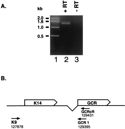 FIG. 6