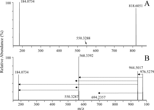 Fig. 3. Positive ionization mode ESI high-resolution HCD-MS/MS analysis of the synthetic lipid standard PC(P-18 : 0/22 : 6) (A) without derivatization and (B) after reaction with iodine and methanol. The horizontal arrows in panel B indicate the fragmentation pathways that were observed upon performing ion trap multistage CID-MSn of the derivatized PC precursor ion.