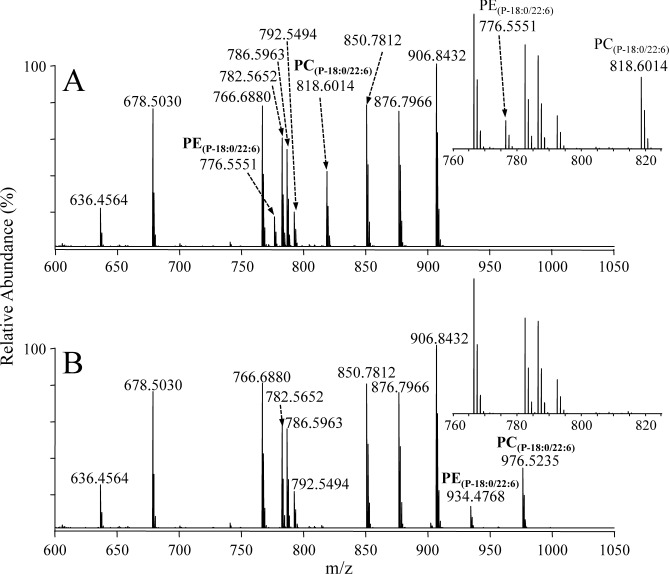 Fig. 1. Positive ionization mode ESI high-resolution mass spectrometric analysis of a mixture of PC, PE and TG synthetic lipid standards, including two plasmenyl ether containing PC and PE lipids (A) without derivatization and (B) after reaction with iodine and methanol. The insets to each panel show an expanded region (m/z 760–825) of the mass spectra containing the underivatized plasmenyl PC and PE lipids.