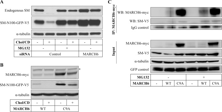 FIG 3