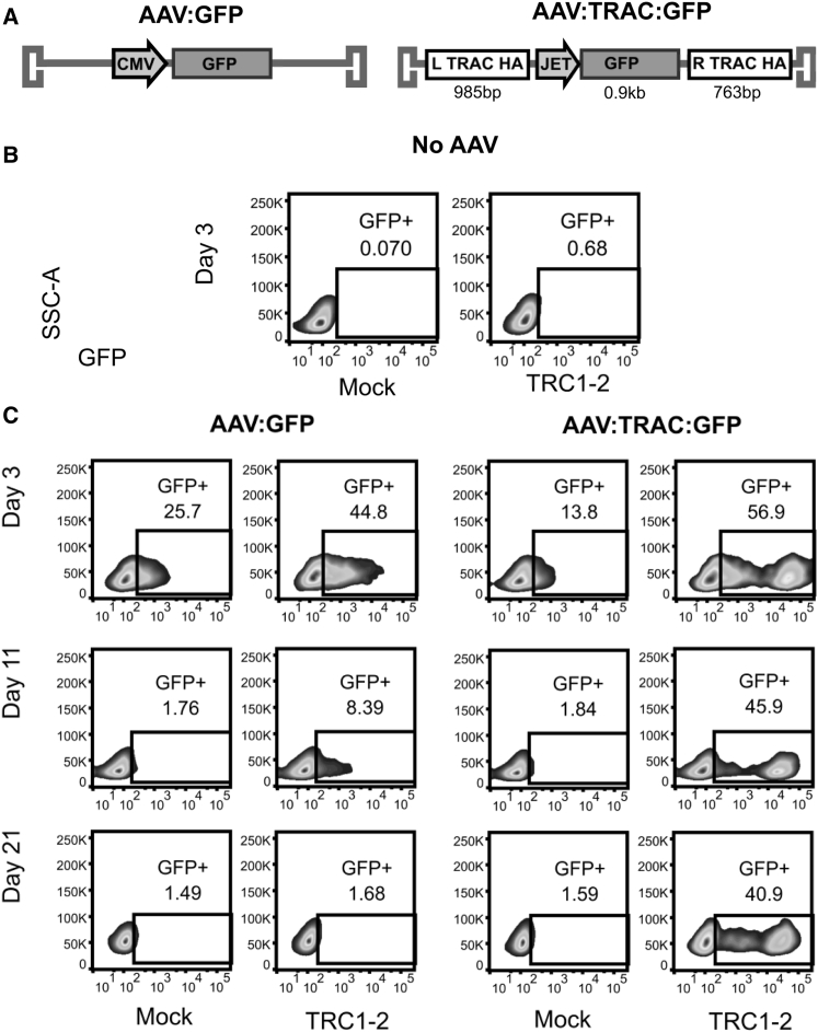 Figure 2