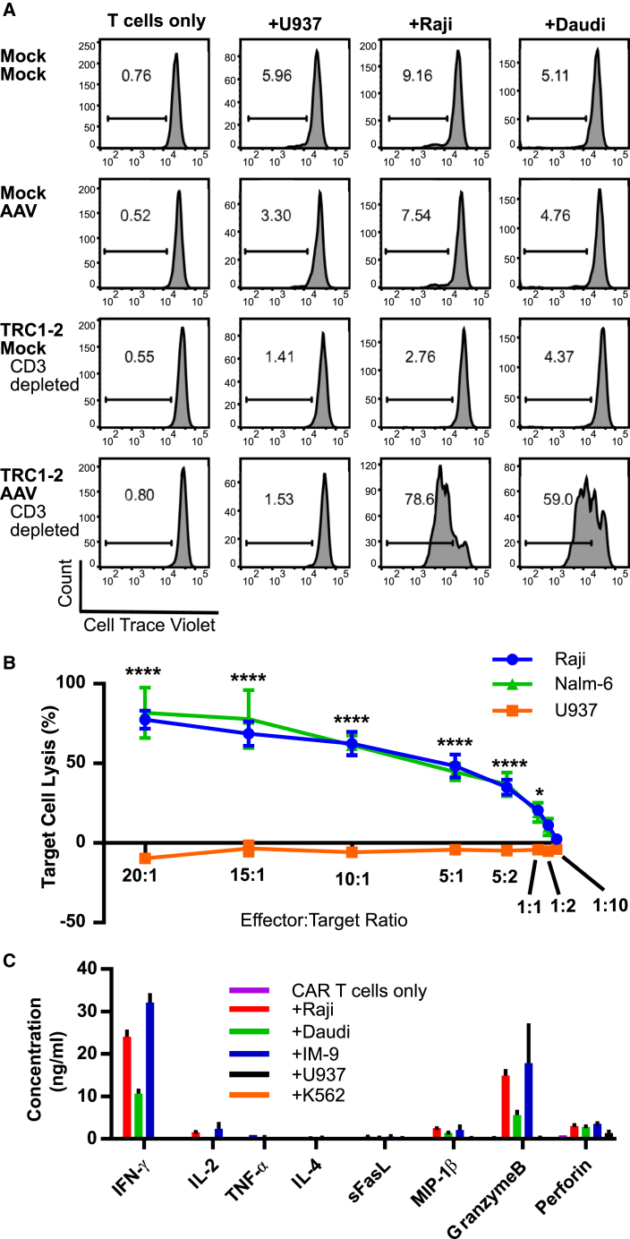 Figure 5