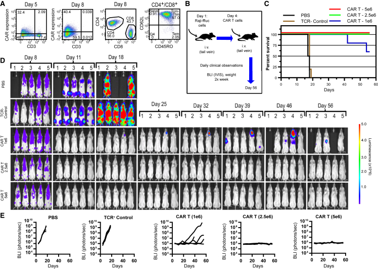 Figure 6