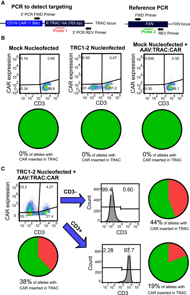 Figure 4