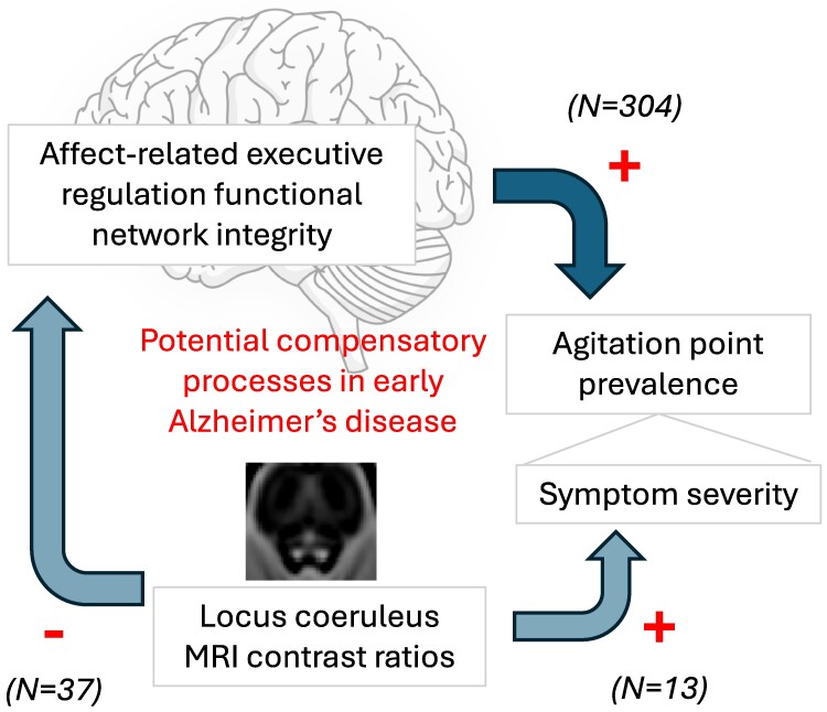 Graphical abstract