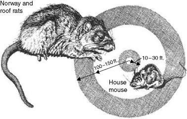 Figure 7.5