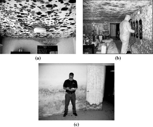 Figure 7.4