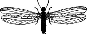 Figure 7.9