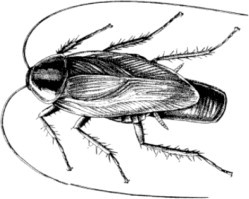 Figure 7.6