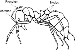 Figure 7.8
