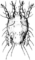 Figure 7.7